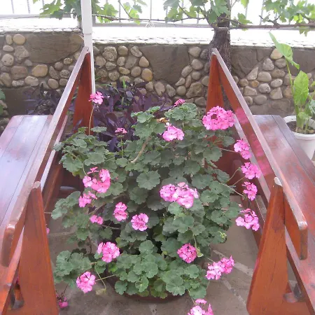 מלון Famili Barba Yani